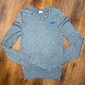 Hollister Men's Y2K V-Neck Sweater Bird Logo Gray Sz L Casual Preppy Surf